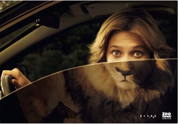 Woman driving in a car with he window halfway down. Bottom half of the window reflects a lion